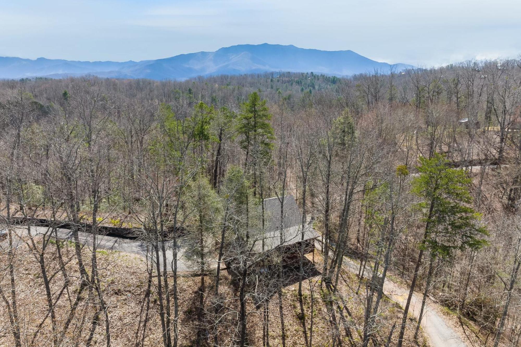Dudley II By Avantstay Comfortable Cabin W Hot Tub Views Pigeon Forge Bagian luar foto